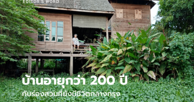 บ้านอายุกว่า 200 ปี กับร่องสวนที่ยังมีชีวิต เมื่อบ้านไทยไม่ได้สร้างขึ้นเพื่ออยู่ลำพัง แต่เติบโตไปพร้อมกับธรรมชาติ