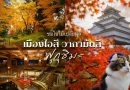 รีบไปก่อนแมส! 5 จุดชมใบไม้เปลี่ยนสี   เมืองไอสึ วากามัตสึ จังหวัดฟุกุชิมะ