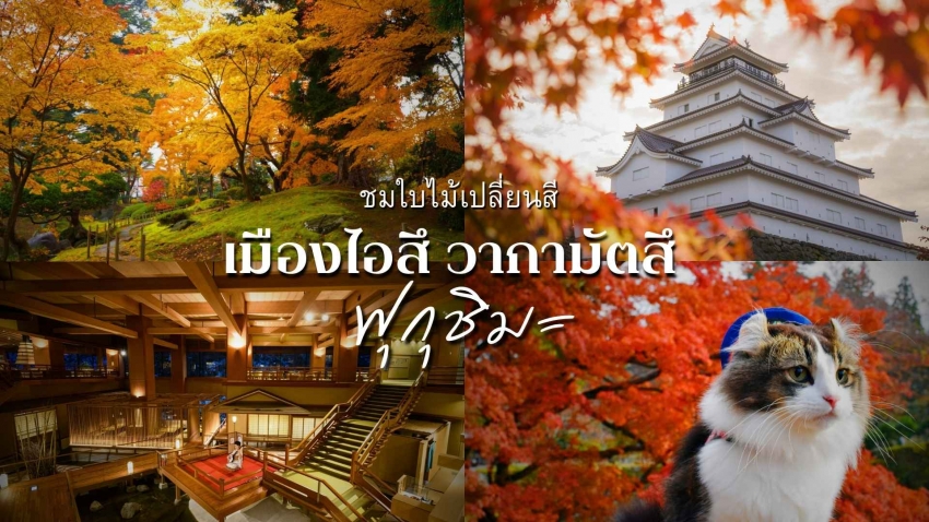 รีบไปก่อนแมส! 5 จุดชมใบไม้เปลี่ยนสี   เมืองไอสึ วากามัตสึ จังหวัดฟุกุชิมะ